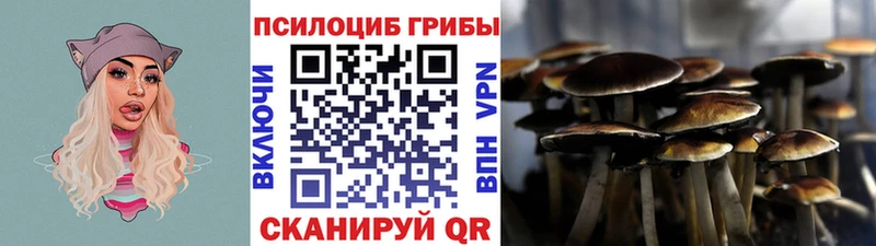 дарнет шоп  мега ONION  Галлюциногенные грибы ЛСД  Дальнереченск 